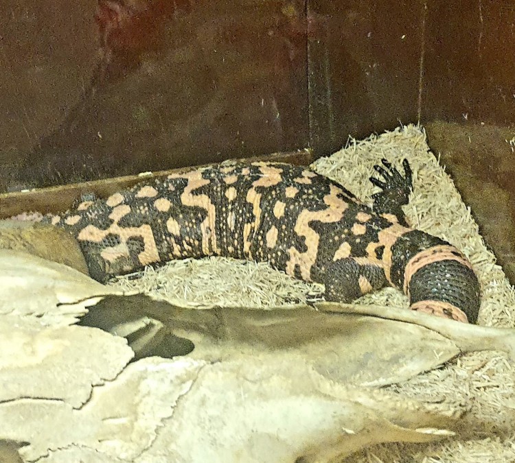 Kentucky Reptile Zoo (Slade,&nbspKY)